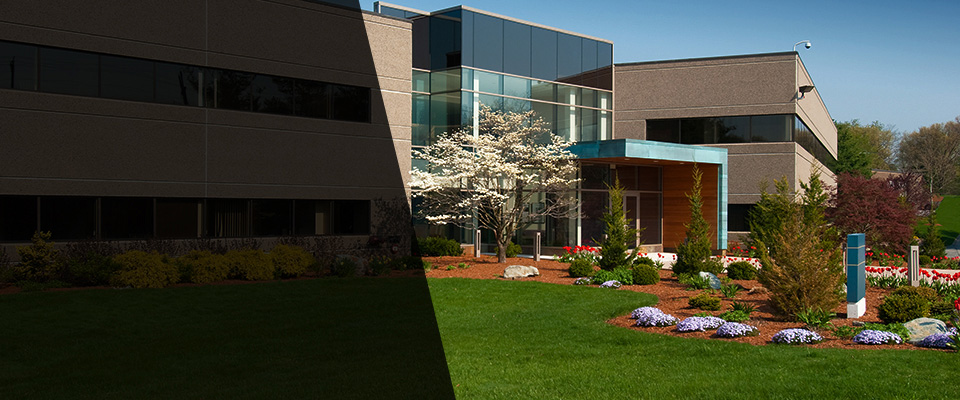 Avondale Estates Landscapers