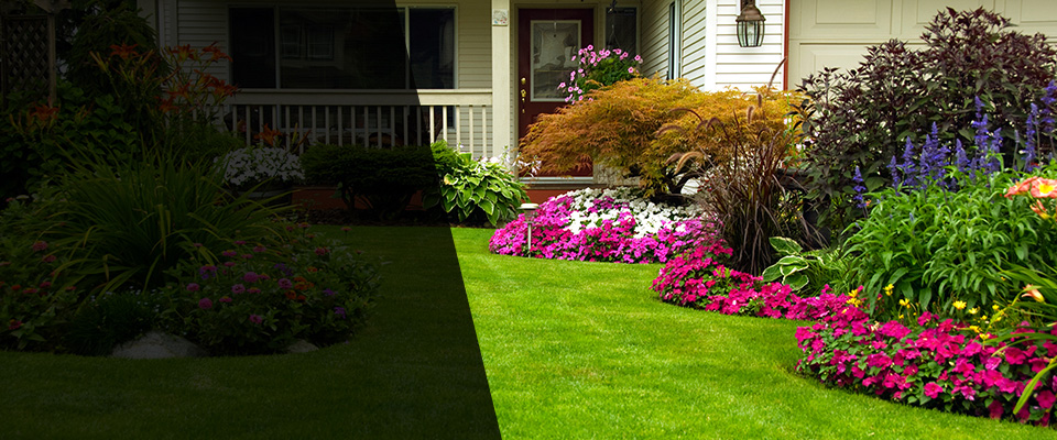 Avondale Estates Landscapers