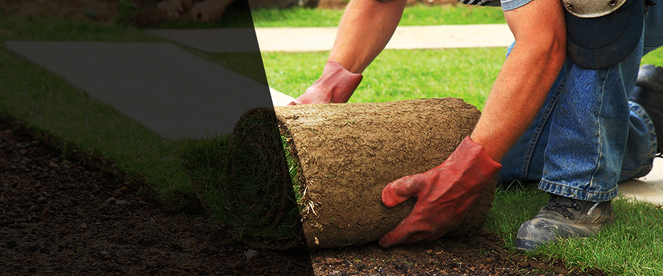 Avondale Estates Landscapers
